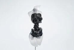 Android EL01 Torso Ver.2