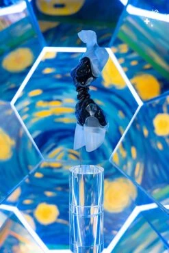 Android EL01 Torso Ver.2 -Doll Toy Store android el01 torso ver2 gallery 613174424f673