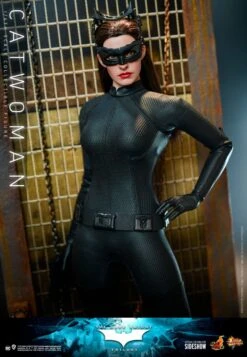 Hot Toys Catwoman -Doll Toy Store catwoman dc comics gallery 61b0332a72592