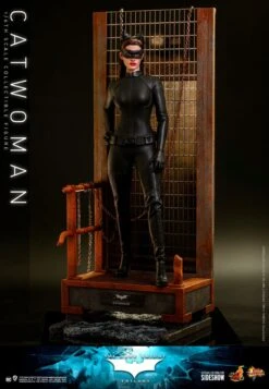 Hot Toys Catwoman -Doll Toy Store catwoman dc comics gallery 61b0332c56e89