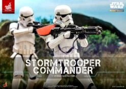 Hot Toys Stormtrooper Commander™